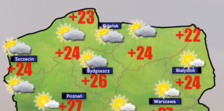 8 września