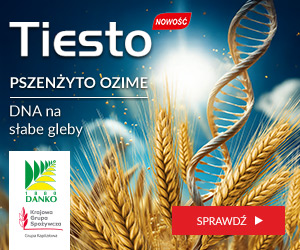Danko Tiesto