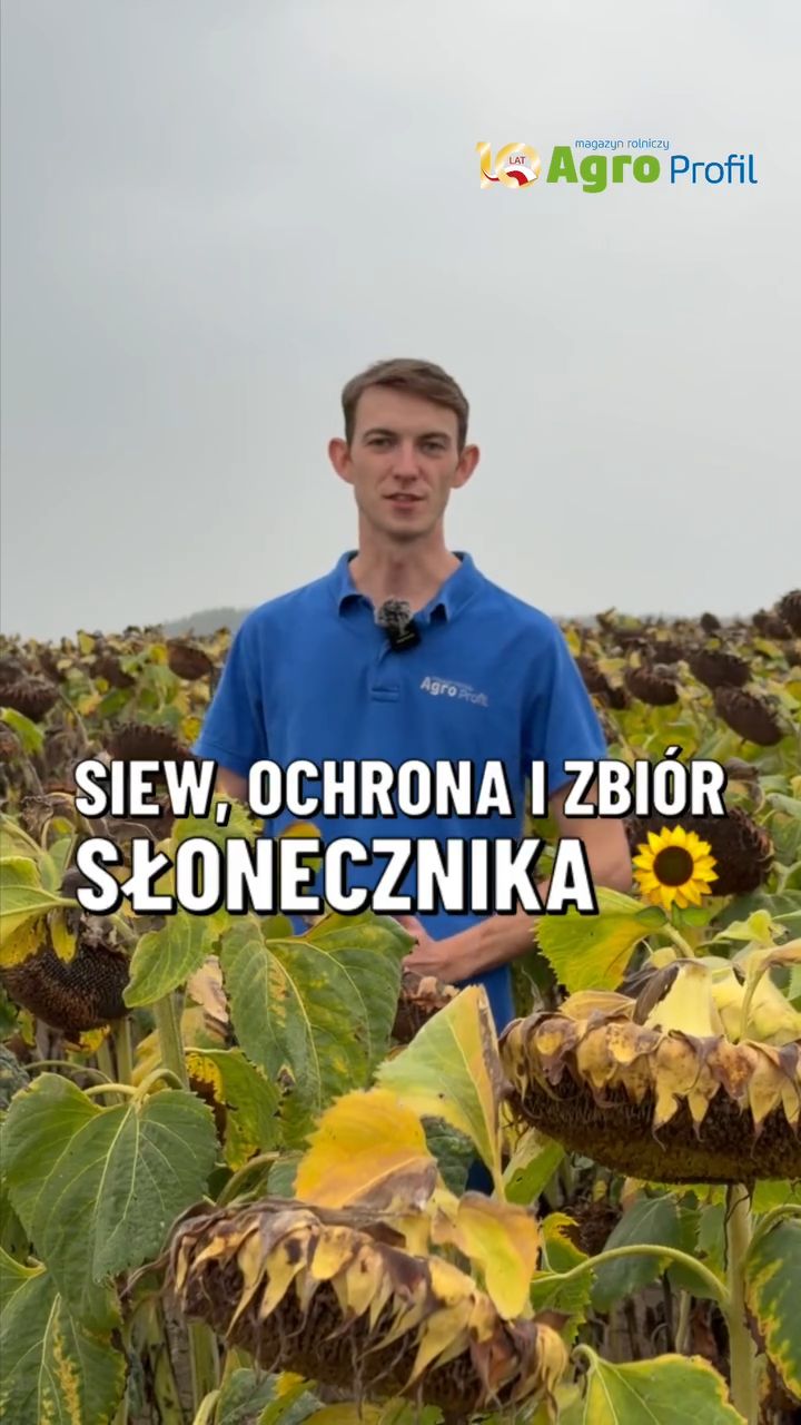 Wideo tygodnia