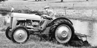 Massey Ferguson TE20