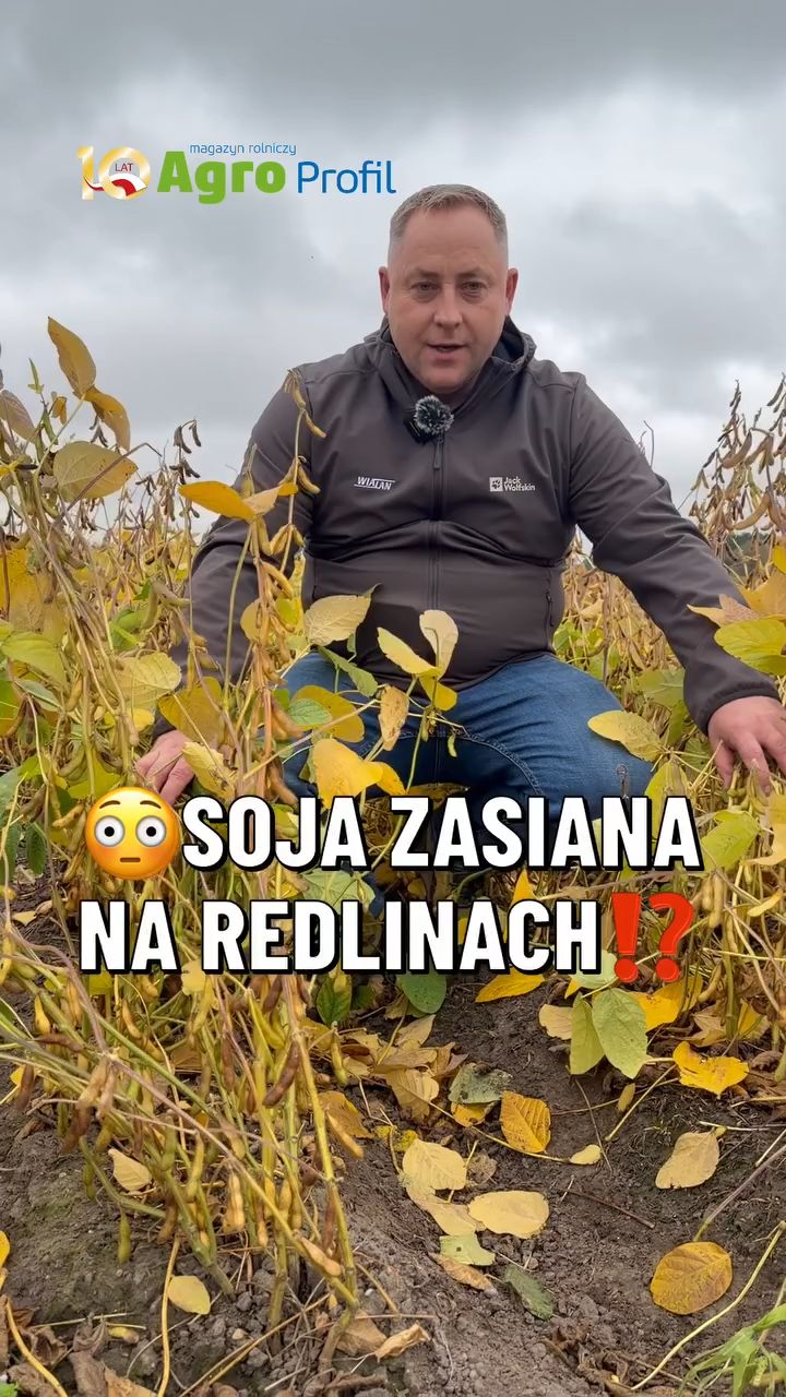 Wideo tygodnia