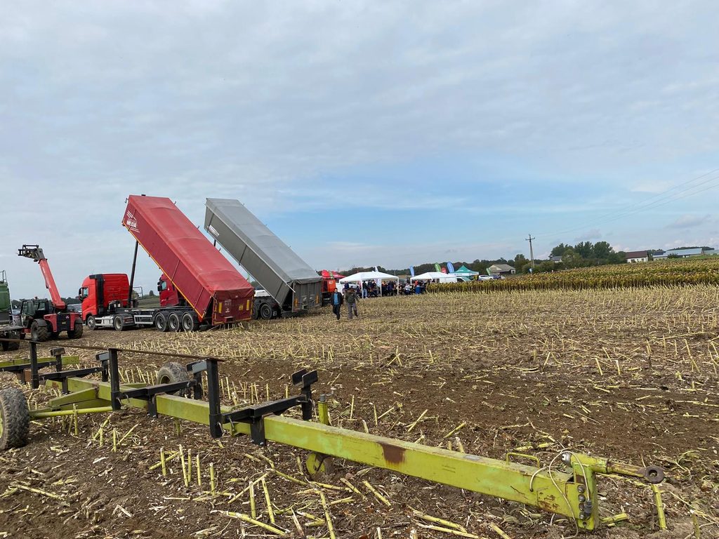 Dni Słonecznika u AgroDoradcy 2026