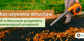 zakaz używania dmuchaw do liści