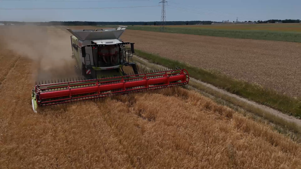 CLAAS LEXION 7500 TERRA TRAC – opinia użytkownika