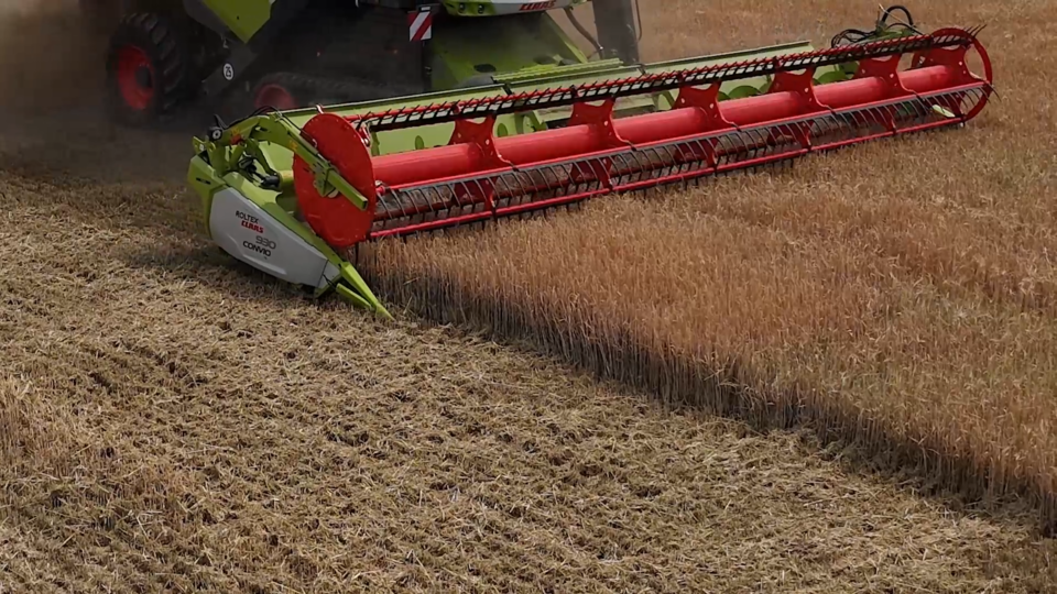 CLAAS LEXION 7500 TERRA TRAC – opinia użytkownika