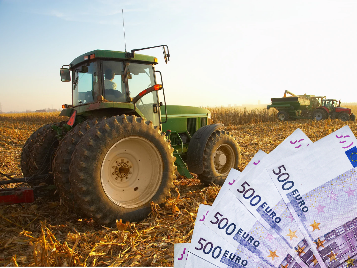Jaki kurs euro do dopłat? EBC ogłosił. Jest wyższy niż rok temu