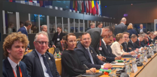 Polska delegacja podczas obrad w Irlandii