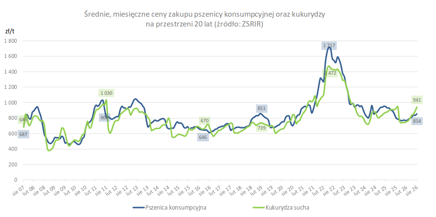 Ceny zbóż w kraju pną się w górę – dane skupowe MRiRW