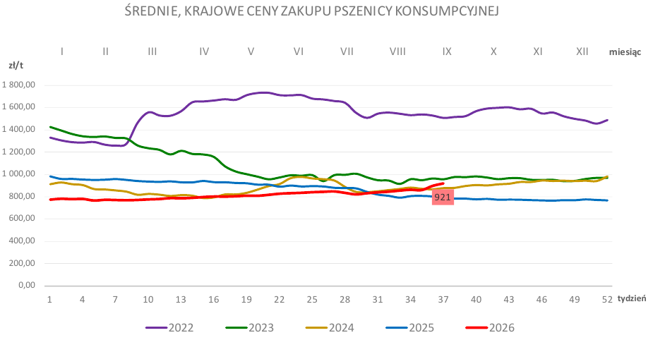 Ceny zbóż w kraju pną się w górę – dane skupowe MRiRW 1