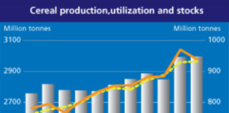 FAO - prognoza wrzesień 2026
