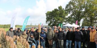 warsztaty polowe Agro Profil sorgo i międzyplony