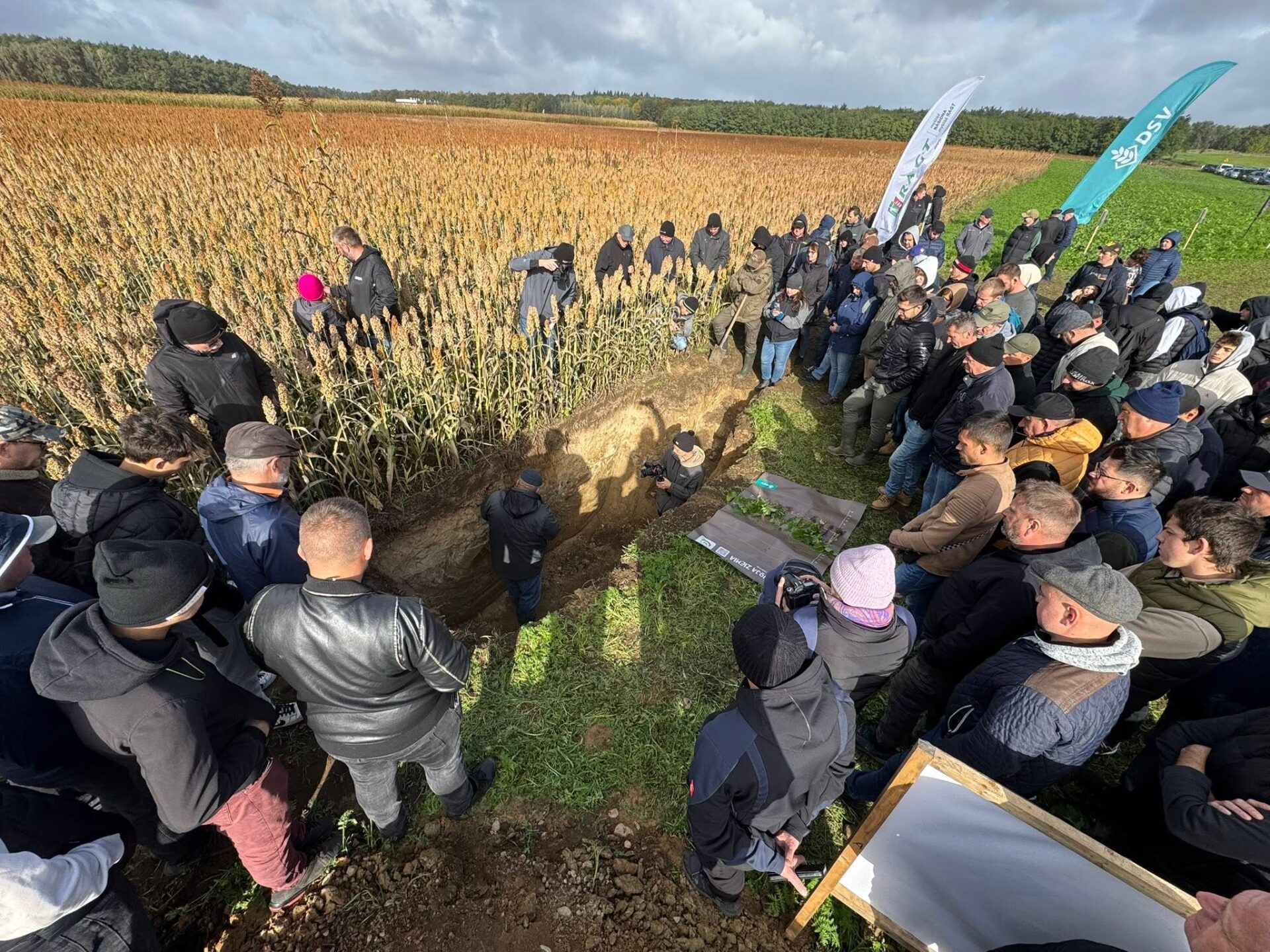 Sorgo i międzyplony w praktyce. Warsztaty polowe Agro Profil już 13 października