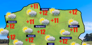 11 października