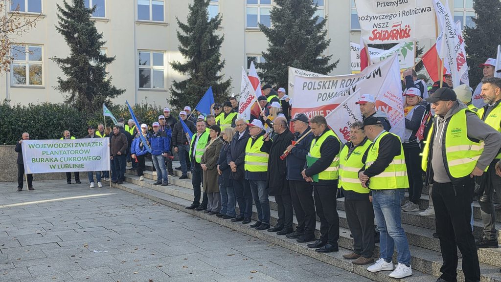 Buraki znikną z kolejnych pól, a cukrownie będą zamykane? Padło mocne ostrzeżenie 2