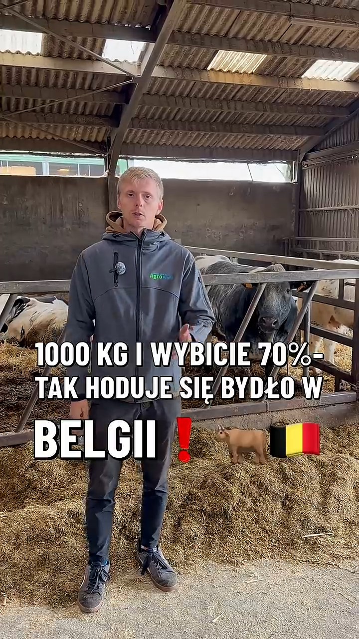 Wideo tygodnia