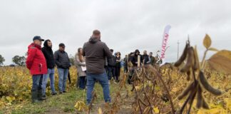 Soja - Plantacja soi w Polsce w 2026 roku
