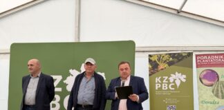 Krzysztof Nykiel podczas pokazu zbioru buraków w Kobylnikach
