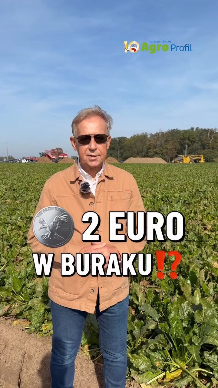 Wideo tygodnia