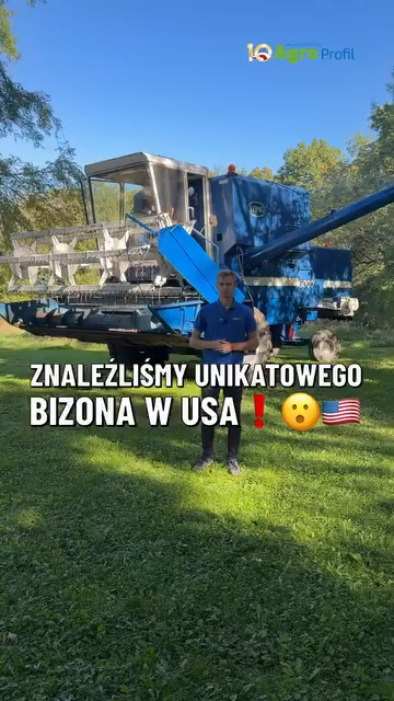 Wideo tygodnia