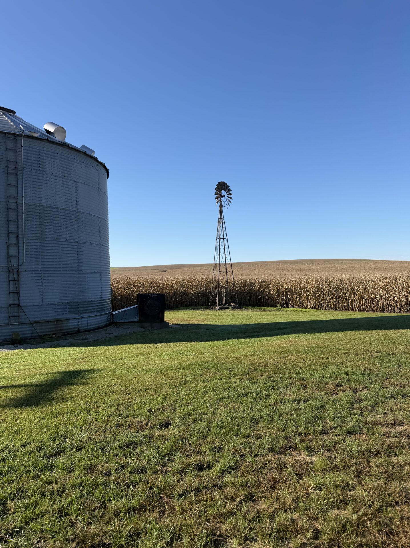 Glifosat i GMO w USA są powszechne. Dlaczego w Europie budzi tyle kontrowersji?