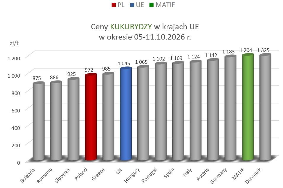 Ceny zbóż w skupie rosną [Analiza danych MRiRW]