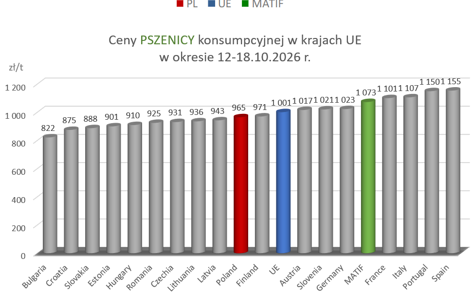 CENY ZBÓŻ W KRAJU: PSZENICA I KUKURYDZA NAJDROŻSZA O TEJ PORZE OD 2022 ROKU! 3