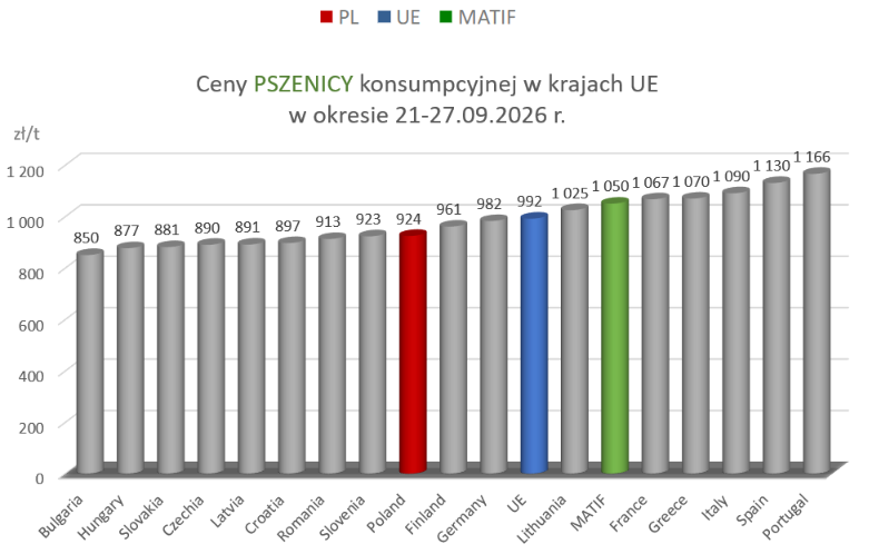 Ceny zbóż w Polsce i UE: Lekki wzrost cen pszenicy, ceny kukurydzy w dół. Najnowszy raport MRiRW 3