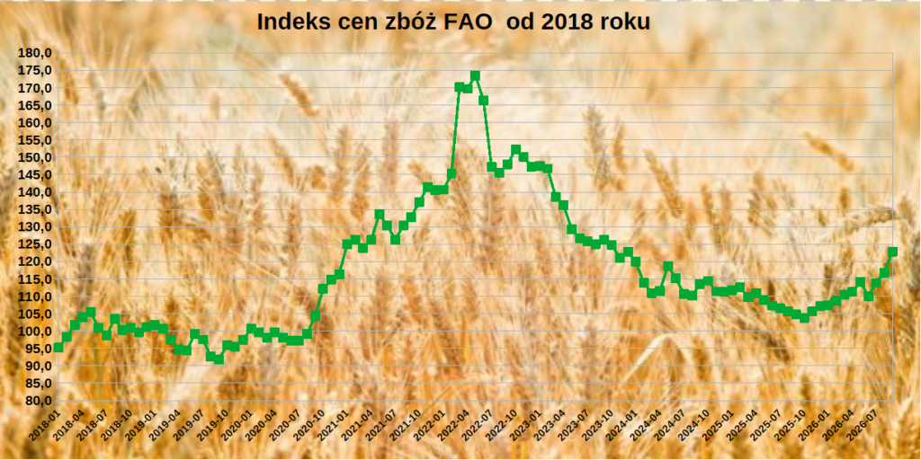 Światowe ceny zbóż w górę we wrześniu. FAO wyjaśnia powody podwyżek 1