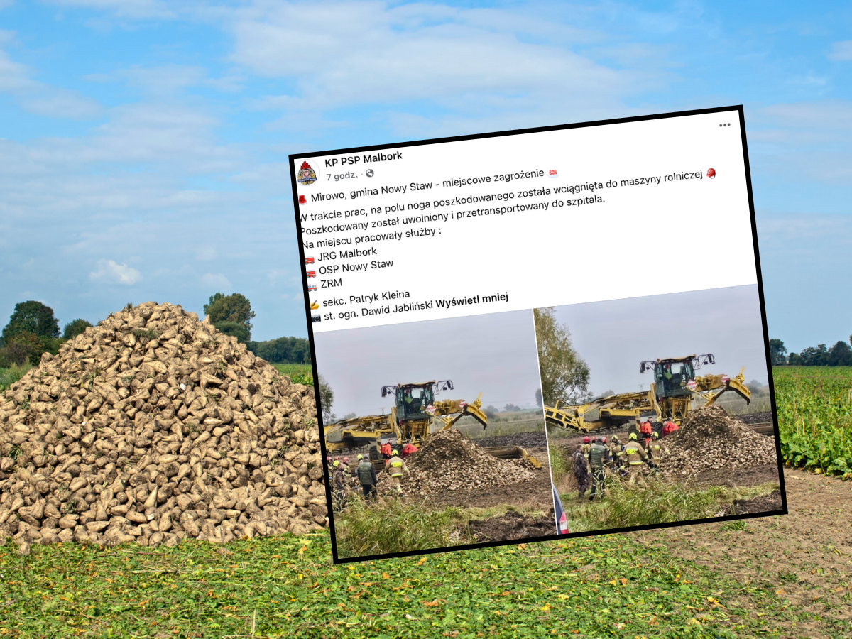 Dramat na polu pod Malborkiem. Noga mężczyzny wciągnięta przez kombajn do buraków